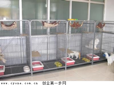 【宠物寄养价目表】开家宠物寄养店，蔡凤琴月入2万元