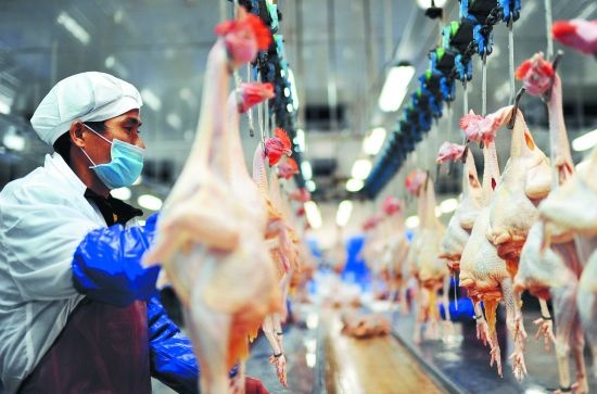 生鲜电商排名|生鲜鸡电商集体“触网”，市场前景有多大？
